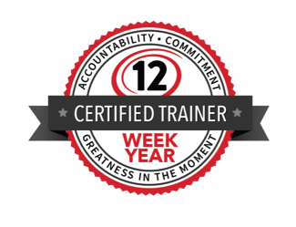 12 week web
